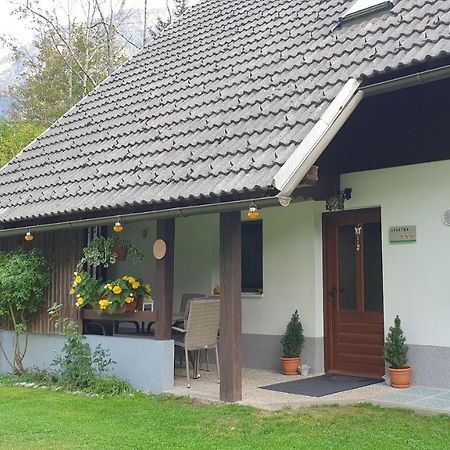 Apartment Sonce Bohinj Dış mekan fotoğraf