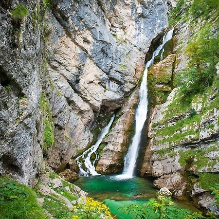 Apartment Sonce Bohinj Dış mekan fotoğraf