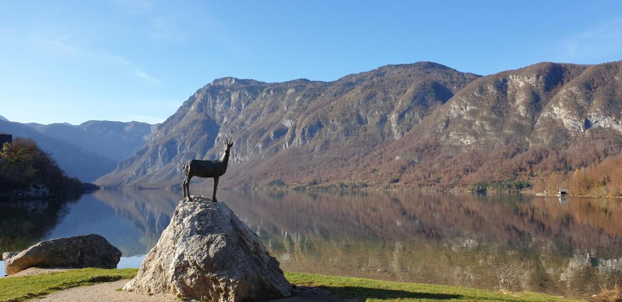 Apartment Sonce Bohinj Dış mekan fotoğraf