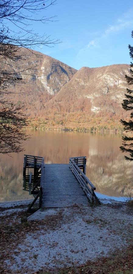 Apartment Sonce Bohinj Dış mekan fotoğraf