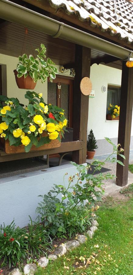 Apartment Sonce Bohinj Dış mekan fotoğraf