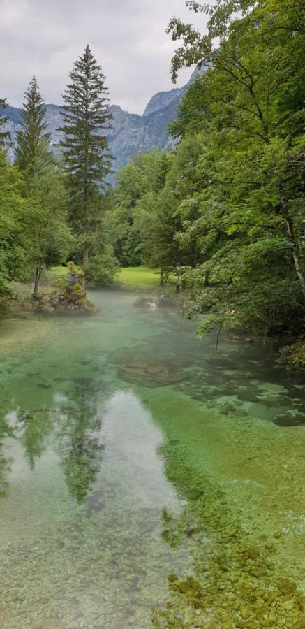 Apartment Sonce Bohinj Dış mekan fotoğraf