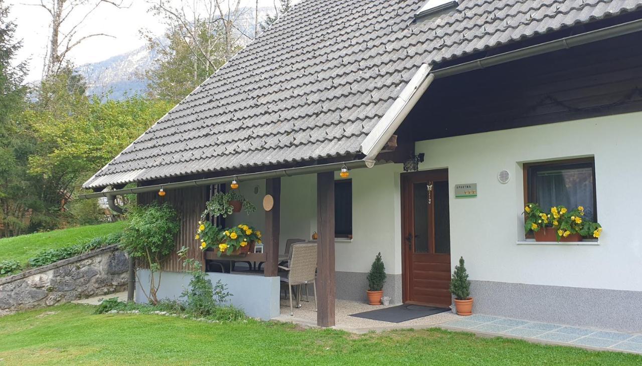 Apartment Sonce Bohinj Dış mekan fotoğraf