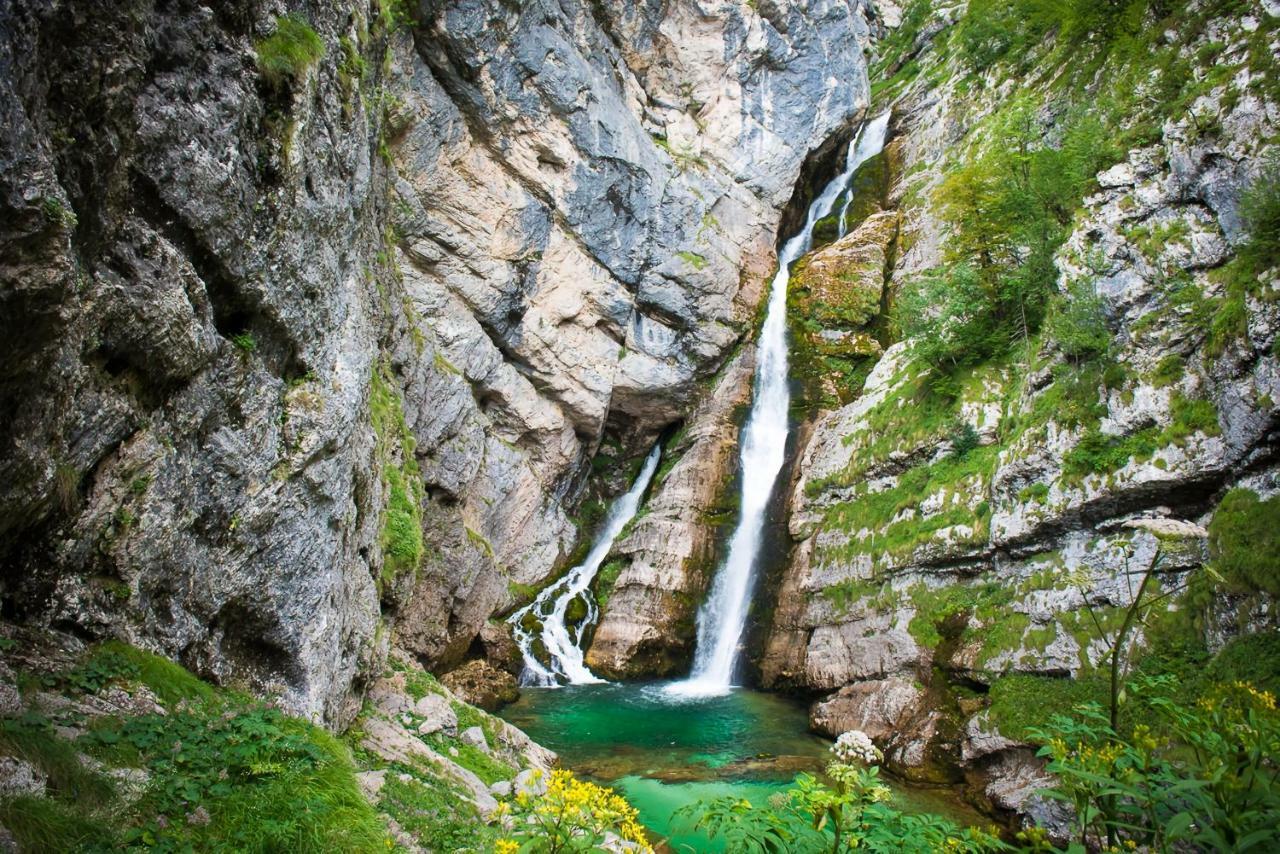 Apartment Sonce Bohinj Dış mekan fotoğraf
